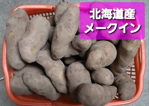 ◆北海道産　越冬じゃがいも【メークイン】訳あり品約１０キロ 