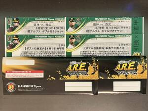 2024 year 6/9 ( day ) 18:00 Hanshin vs Seibu Japan life se*pa alternating current war Hanshin Koshien Stadium 1. Alps seat (2 sheets ream number ) player Bob ru head attaching ticket 