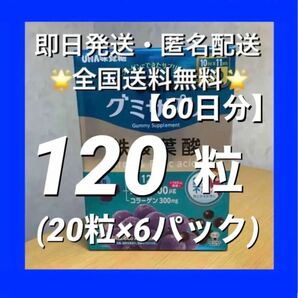 UHA味覚糖 グミサプリ 鉄&葉酸　120粒(60日分・1パック10日分×6）【24時間以内発送】