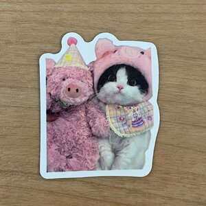 【即日発送】猫ミーム ステッカー 1枚 ピンク着ぐるみ