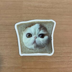 【即日発送】猫ミーム ステッカー 1枚 シール パン