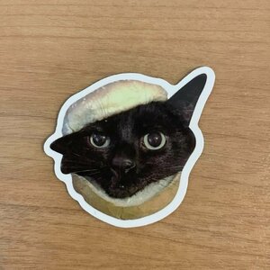 【即日発送】猫ミーム ステッカー 1枚 シール パン