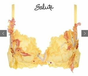 ★ Salute 23AW先行 92G BTJ492 P-UP ブラジャー DEF プッシュアップ 単品 プレステージ　E70