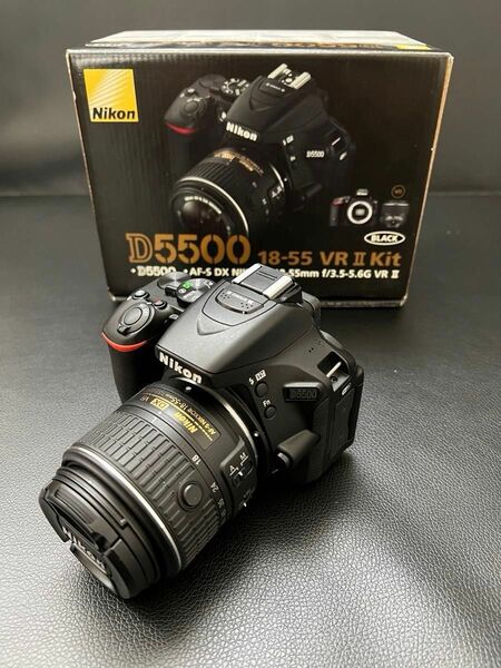 ★美品！早い物勝ち！特別価格★ Nikon デジタル一眼レフカメラ D5500 レンズキット