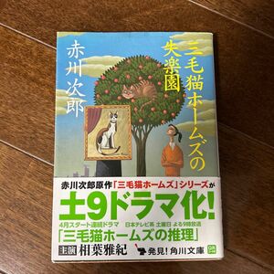 三毛猫ホームズの失楽園 （角川文庫　あ６－２３０） 赤川次郎／〔著〕