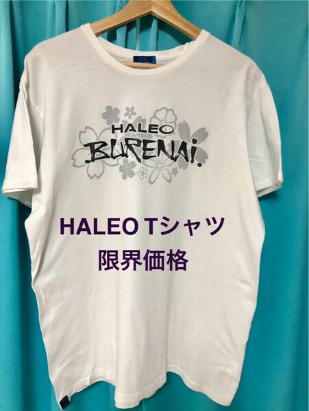 【限界価格】GW期間限定出品 HALEO / ハレオ 限定Tシャツ BURENAIシリーズ Lサイズ レア 男女