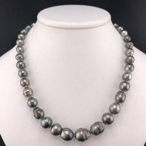 E05-1050 黒蝶パールネックレス 8.0mm~14.0mm 47cm 69.3g ( 黒蝶真珠 Pearl necklace SILVER )