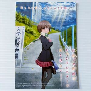 青春ブタ野郎はおでかけシスターの夢を見ない チラシ B5 Pascal does not dream of a sister ven anime Movie Japanese version flyer: