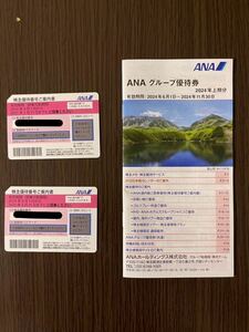 最新　ANA株主割引券　2枚　株主優待券 2025年5月31日まで有効 ANAグループ優待券1冊付