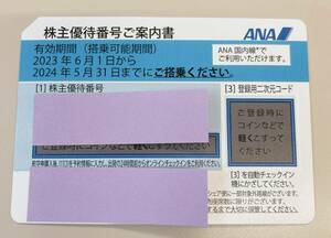 【即決】ANA株主優待券　～24/5/31搭乗期限　3枚まで