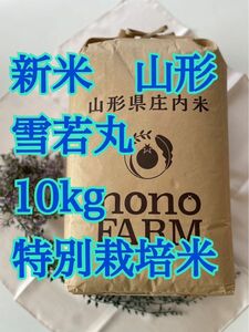 雪若丸　10kg 令和5年　山形　特別栽培米