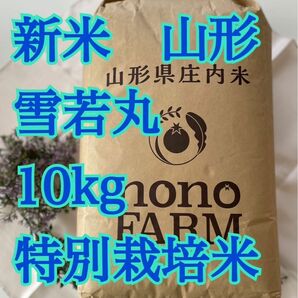 雪若丸　10kg 山形　特別栽培米　令和5年