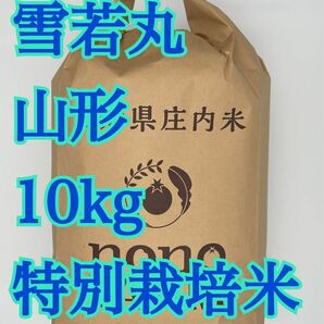 雪若丸　10kg 山形　令和5年　特別栽培米