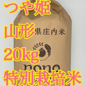 つや姫　20kg 山形　特別栽培米　令和5年