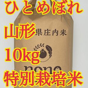 ひとめぼれ　10kg 令和5年　山形　特別栽培米