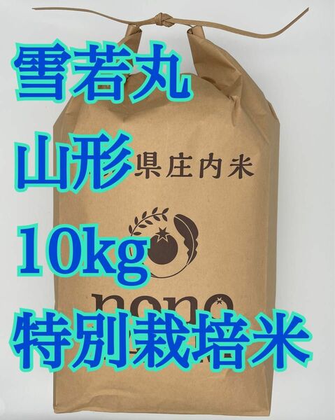 雪若丸　10kg 山形　令和5年　特別栽培米