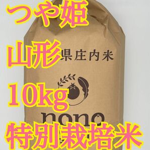 つや姫　10kg 山形　令和5年　特別栽培米