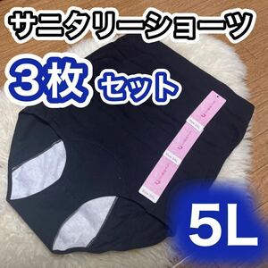 サニタリー ショーツ 3枚 セット ブラック 黒 生理 5L XXXL 産褥 生理 パンツ 防水 下着 レディース マタニティ パンツ 大きいサイズ