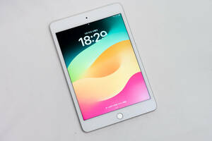 動作品 ガラスフィルム付 Apple iPad mini 5 第5世代 Wi-Fi + Cellular SIMフリー 64GB mini5 シルバー Apple アップル 7.9インチ 8インチ