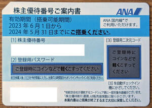 ANA 全日空 株主優待券 搭乗期限24年5月末迄 夏期休暇 コード即日通知 送料無料 ⑥