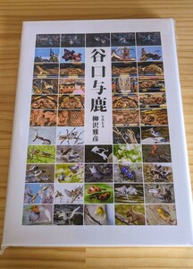谷口与鹿 高山祭の至宝 生誕200周年記念出版 柳沢雅彦(写真家)