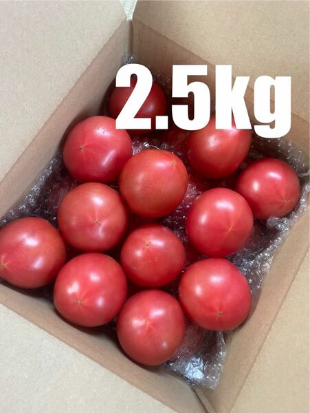 静岡県産　トマト　中玉　2.5kg 減農薬　農家直送　