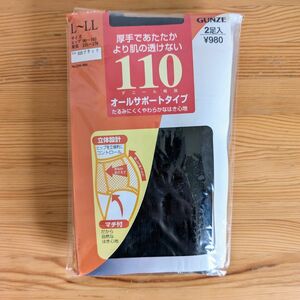 GUNZE グンゼ 厚手であたたか より肌の透けない 110デニール相当 2足入