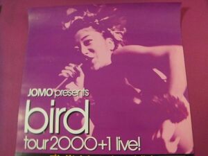 ▲H/2264品・特大アイドルポスター/bird tour 2000+1 live!▲