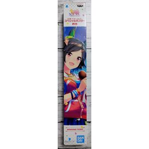 ◇ウマ娘 プリティーダービー スペシャルポスター ( ウイニングチケット )◇