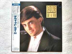 国内盤帯付 / David Lyme / Like A Star /「Playboy」「I Don't Wanna Lose You」「Bye, Bye, Mi Amor」「Bambina」収録 / 25PP-236. 1987