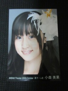 AKB48 AKB Komori Mika фотография life photograph осень лист купальный костюм bikini model ②