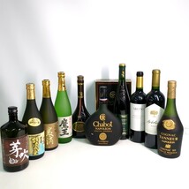 【未開栓】洋酒 お酒 日本酒 焼酎 ウイスキー ブランデー 果実酒 ワイン 10本まとめて NAPOLEON コニャック等 H0514_画像1