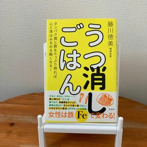 うつ消しごはん　タンパク質と鉄をたっぷり摂れば心と体はみるみる軽くなる！ 藤川徳美／著