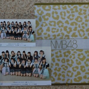 2023.5.2 NMB48 LIVE 2023〜轟けミックス！〜 集合④(2L+Lサイズ)+クリアファイル 小嶋花梨・新澤菜央・坂田心咲・坂本理紗・池田典愛