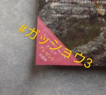 「在庫3」 ヤングマガジン No.24 神谷明采 隅野和奏(NMB48) サイン入りチェキ応募券 1枚_画像1