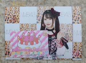 2024.3.11 NMB48 TeamM「Mのサイン」公演 山本望叶 生誕祭 ソロ(Lサイズ)写真