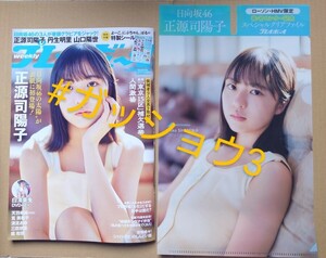 週刊プレイボーイno.19 2024年5月6日号 正源司陽子・丹生明里・山口陽世(日向坂46)(新品未読品)特製シール付 HMV限定特典クリアファイル付.