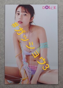 菊地姫奈 DOLCE Vol.10 (白夜ムック 722) セブンネット限定 特典 ポストカード 1枚