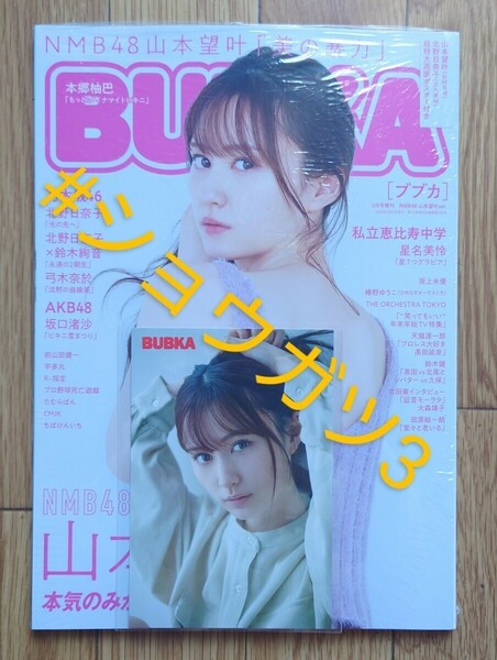 NMB48 山本望叶Ver. BUBKA (ブブカ) 2022年3月号増刊 ポストカード(アップ) 1枚 特典付き(新品シュリンク未開封)ポスター・応募券等付き