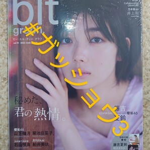 blt graph.vol.91 藤吉夏鈴(櫻坂46) 井上和 (乃木坂46) 早川夢菜(NMB48) (新品シュリンク未開封)チェキ応募券・ポスター付き