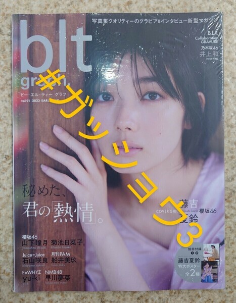 blt graph.vol.91 藤吉夏鈴(櫻坂46) 井上和 (乃木坂46) 早川夢菜(NMB48) (新品シュリンク未開封)チェキ応募券・ポスター付き