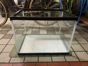  стекло аквариум 60cm[ самовывоз ограничение ][ Osaka ]