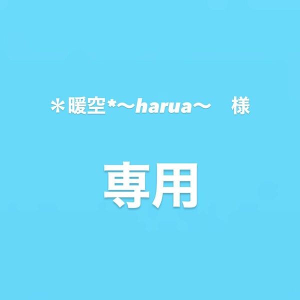 ＊暖空*〜harua〜様　専用