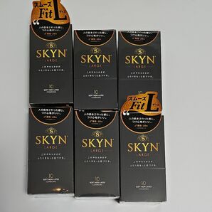 SKYN ラージ 10個入り