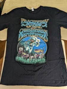 【服飾】 ビンテージ レア Tシャツ バンド 当時物? Blackberry smoke CHRIS ROBINSON BROTHERHOOD M 黒 半袖