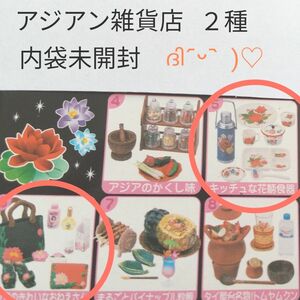 アジアン雑貨店 ２種◆内袋未開封◆リーメント ぷちサンプルシリーズ キッチュな花柄食器/アジアのきれいなおねえさん