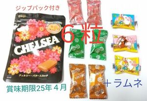 チェルシー 小分け★ジップパックのジップ付き/３種 計6粒のチェルシー/グッピーラムネ3個/ 飴 明治 販売終了 CHELSEA