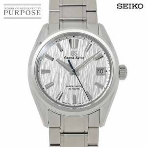 グランドセイコー GRAND SEIKO エボリューション メカニカル ハイビート 36000 白樺 SLGH005 メンズ 腕時計 自動巻き Mechanical 90229201