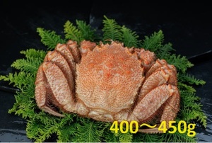 【ボイル特殊冷凍加工】北海道産・ボイル冷凍毛蟹400～450g前後×1尾