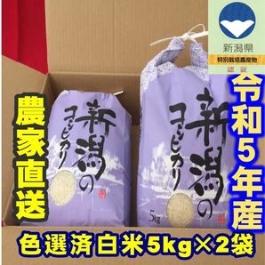 特別栽培米・令和5年産新潟コシヒカリ　白米5kg×2個★農家直送★色彩選別済31